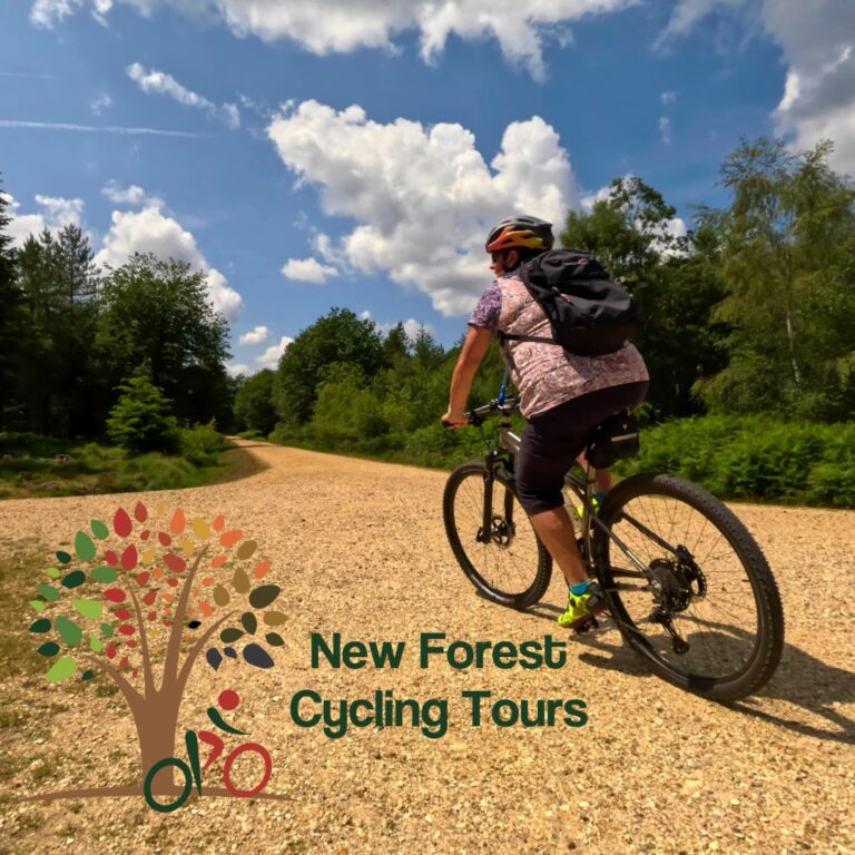 New Forest Cycling Tours image