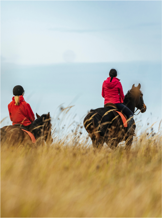 Bike hire,  cycling  and horseriding